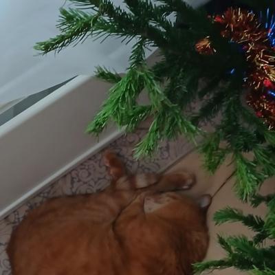 05012025 Neuejahre 5